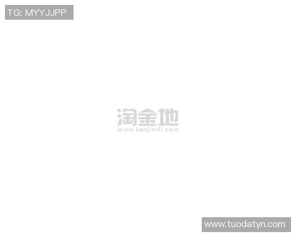 体育器材室常见器材介绍及其功能解析，助你全面了解运动装备的选择与使用